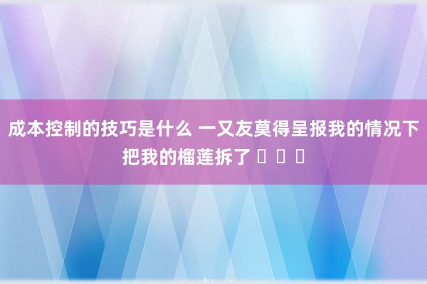 成本控制的技巧是什么 一又友莫得呈报我的情况下把我的榴莲拆了 ​​​