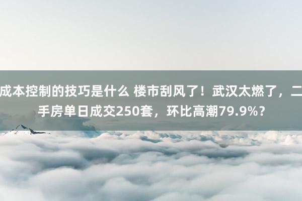 成本控制的技巧是什么 楼市刮风了！武汉太燃了，二手房单日成交250套，环比高潮79.9%？