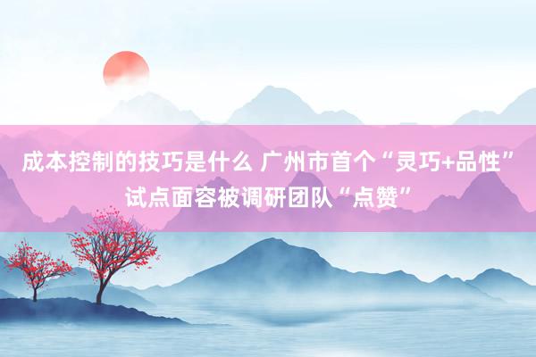 成本控制的技巧是什么 广州市首个“灵巧+品性”试点面容被调研团队“点赞”