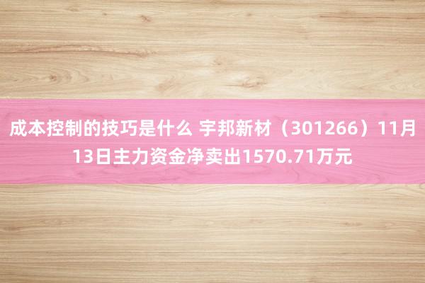 成本控制的技巧是什么 宇邦新材（301266）11月13日主力资金净卖出1570.71万元