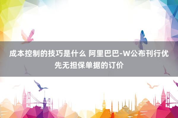 成本控制的技巧是什么 阿里巴巴-W公布刊行优先无担保单据的订价